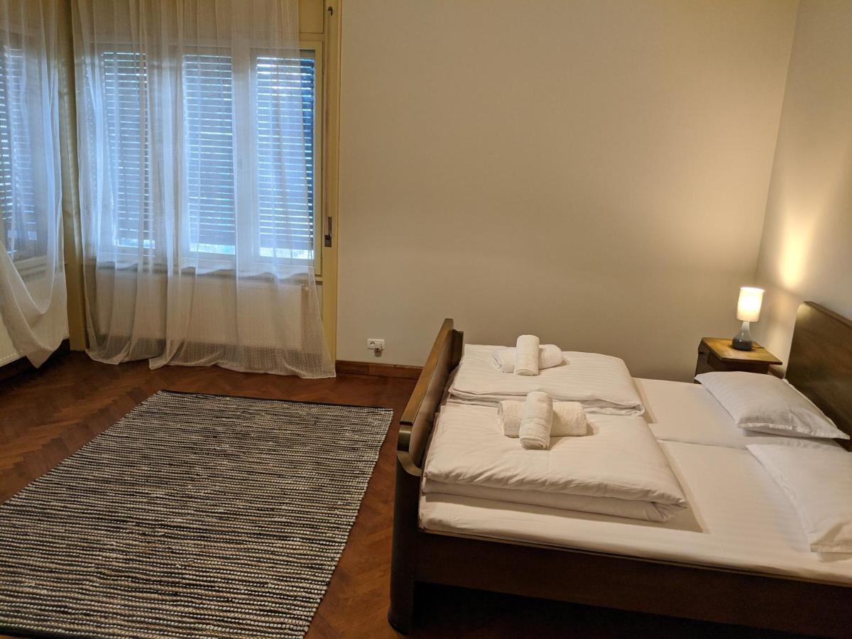 Cristian Apartment Near Old Town Тимишоара Экстерьер фото