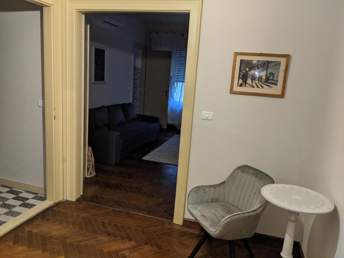 Cristian Apartment Near Old Town Тимишоара Экстерьер фото