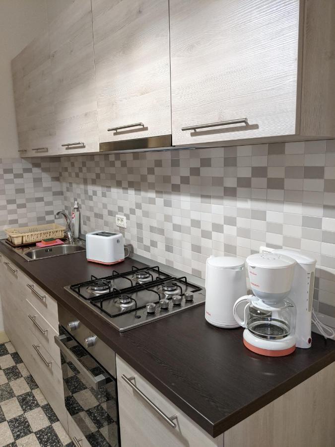 Cristian Apartment Near Old Town Тимишоара Экстерьер фото
