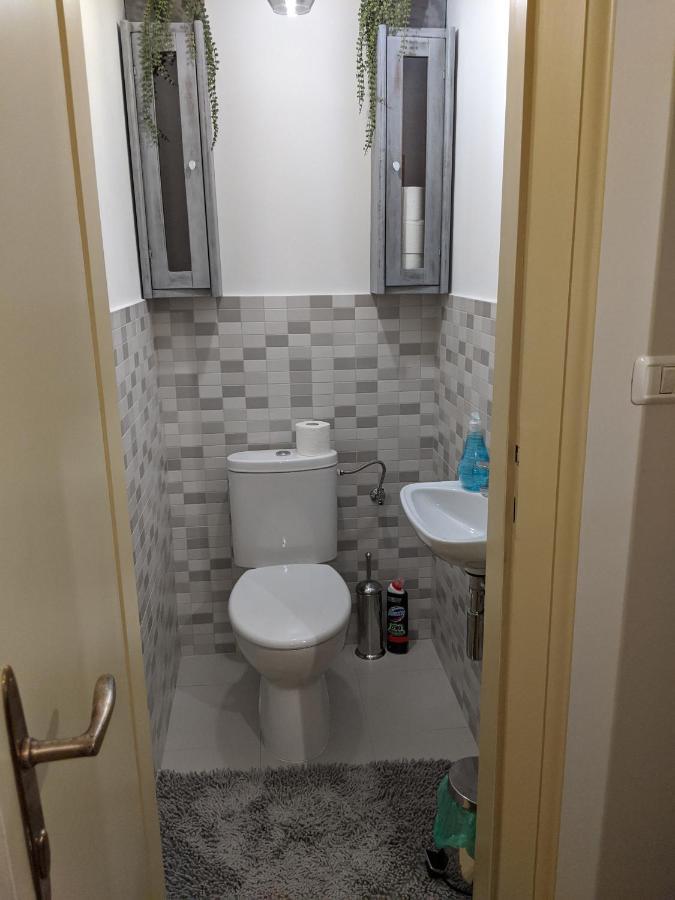 Cristian Apartment Near Old Town Тимишоара Экстерьер фото